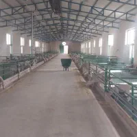 استخدام کارگر برای دامداری صنعتی