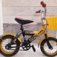 دوعدد دوچرخه ۱۲