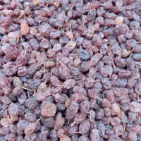 کشمش آفتابی شال|خوردنی و آشامیدنی|شال, |دیوار