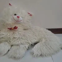 عروسک|اسباب‌‌بازی|نیشابور, سرآب کوشک|دیوار