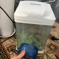 آکواریوم آکوا