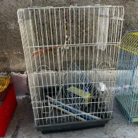 قفس|لوازم جانبی حیوانات|مشکین‌دشت, |دیوار