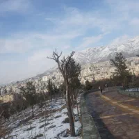 شاگرد هستم 15ساله