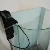 آکواریوم منحنی بزرگ|ماهی|پرند, فاز ۶|دیوار