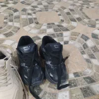 کفش اسپرت