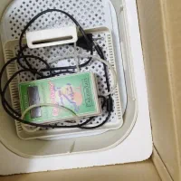 دستگاه جوجه کشی ایزی باتور ۶|لوازم جانبی حیوانات|تهران, نازی‌آباد|دیوار