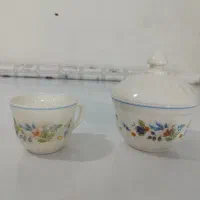 تعدادی ظرف آرکوپال لومیناک فرانسه طرح ویکتوریا