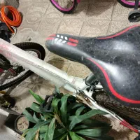 دوچرخه 26 آساک دوچرخ|دوچرخه، اسکیت، اسکوتر|مشهد, وکیلآباد|دیوار