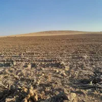 موتور آب با ۱۲هکتار|فروش دفتر صنعتی، کشاورزی، تجاری|فرمهین, |دیوار