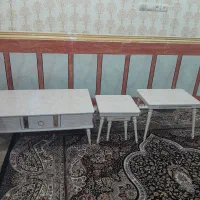 گل میز نو نو