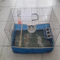 قفس جادار وشیک با تمام تجهیزات مورد نیاز پرنده