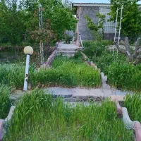 باغ-در-شاهنامه