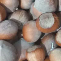 فندوق محلی.کیلویی۶۵۰۰۰۰