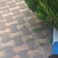 مغازه ۱۴ متر امتیاز کامل سند تک برگ