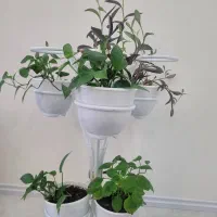 استند گل به همراه چندگلدان