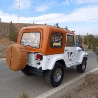 اجاره ماشین عروس