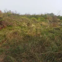 هفت-قطعه-زمین-مسکونی-سند-گیلان-شهرستان-شفت