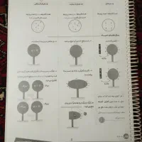 جزوه یازدهم فیزیک شجاعی ماز
