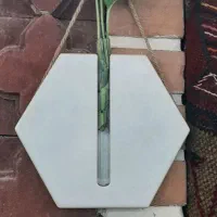 گلدان|گل و گیاه طبیعی|قرچک, زیبا شهر|دیوار