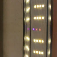 لامپ رشد گیاه ( فول اسپکتروم)|لامپ و چراغ|قم, میدان نو|دیوار