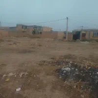 نوشین شهر کوچه اعتمادزمین جهت ساخت وساز|فروش زمین و ملک کلنگی|نوشین شهر, |دیوار