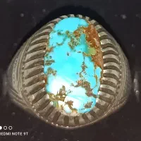 فیروزه نیشابوری