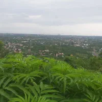 ۴۴۶ زمین محصور شده در بهترین ویو