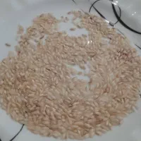 برنج حسنی قلوه