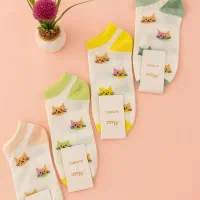 جوراب زنانه|لباس|سنگر, |دیوار