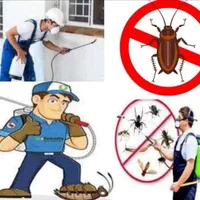 شرکت سمپاشی وموریانه زدایی *تخفیف ویژه* مجوز رسمی*|خدمات نظافت|دزفول, |دیوار