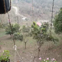 کلبه قابل سکونت در جنگلهای لاهیجان