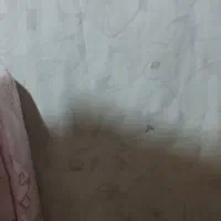 تشک دو نفره|تشک تختخواب|کرمانشاه, |دیوار