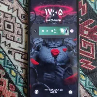 13 c شیامی|موبایل|اصفهان, باغ فدک|دیوار