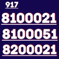 917.8100021