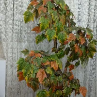 درختچه دکوری