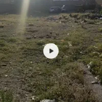 بهترین فرصت سرمایه گذاری نرسیده به سه راه فردیس|فروش مغازه و غرفه|فردیس, شهرک ۱۱۰|دیوار