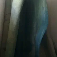 موکت کارکرده سالم