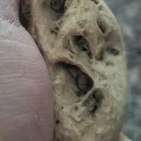 سنگ جمجمه آدم کوتوله کاملا طبیعی