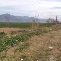 اجاره زمین کشاورزی