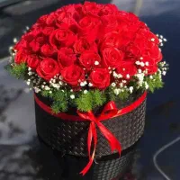 باکس و دسته گل رز هلندی ممتاز شاخه ای۱۵ گلفروشی|گل و گیاه طبیعی|تهران, آهنگ|دیوار