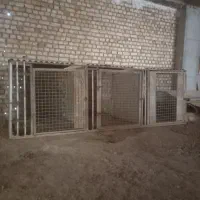 قفس سگ مرغ خروس سگ سرابی پژدر