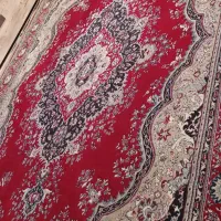 قالی یا فرش 12 متری کاشان لاکی در حد نو|فرش|شیراز, شهرک ایثار|دیوار