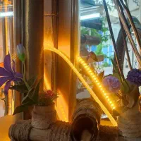 فروشنده ماهر لوازم کشاورزی و ساختمانی