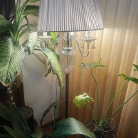 آباژور ایستاده