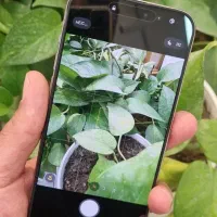 آیفون ۱۵ پرومکس zaa