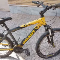 دوچرخه گالانت