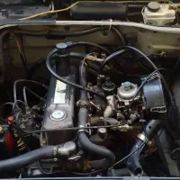 اردی سالم درحد