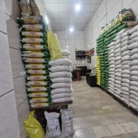 برنج ایرانی و هندی به شرط