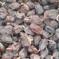 کشمش آفتابی درشت بوانات|خوردنی و آشامیدنی|بوانات, |دیوار