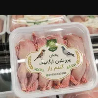 گوشت کبوتر چاهی پرورشی کاملا بهداشتی و مقوی